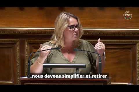 Au nom de la simplification, ne pas nourrir un discours anti-état