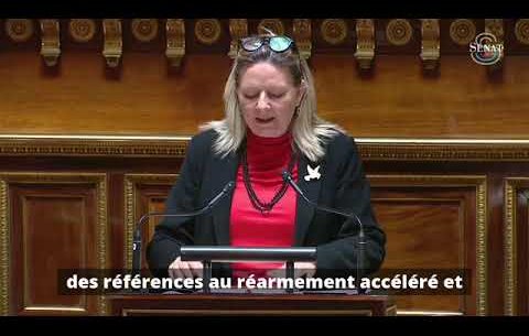 Bientôt 100 milliards pour la défense ?