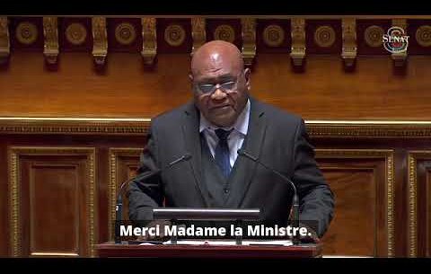 "Le texte installe un rapport de force défavorable au peuple kanak"