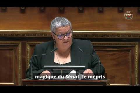 "Ce PLFSS ne porte aucune vision de la société ni aucun projet cohérent"